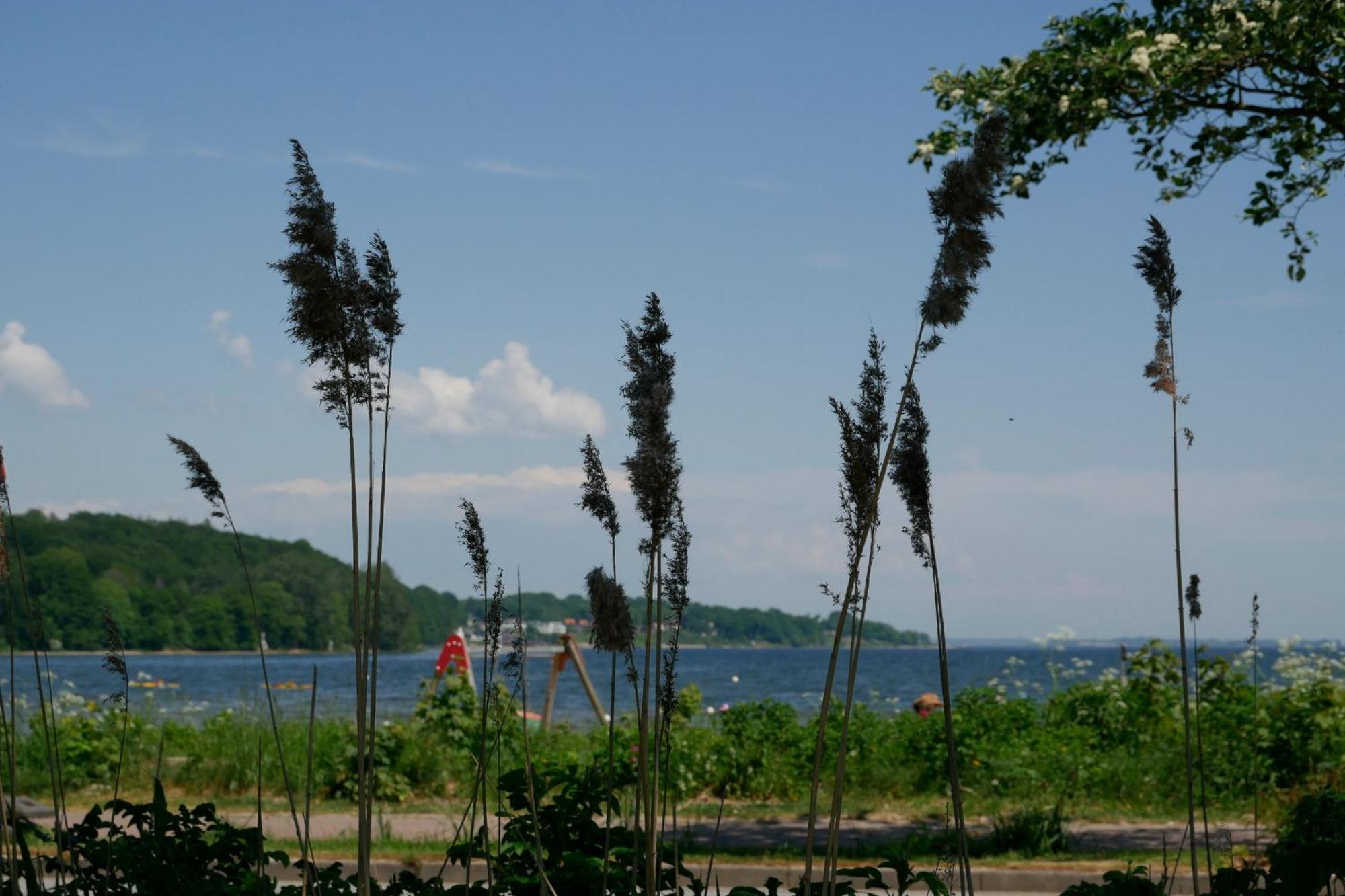 Ostsee, Wunderschoene Wohnung Mit Meerblick Harrislee Esterno foto